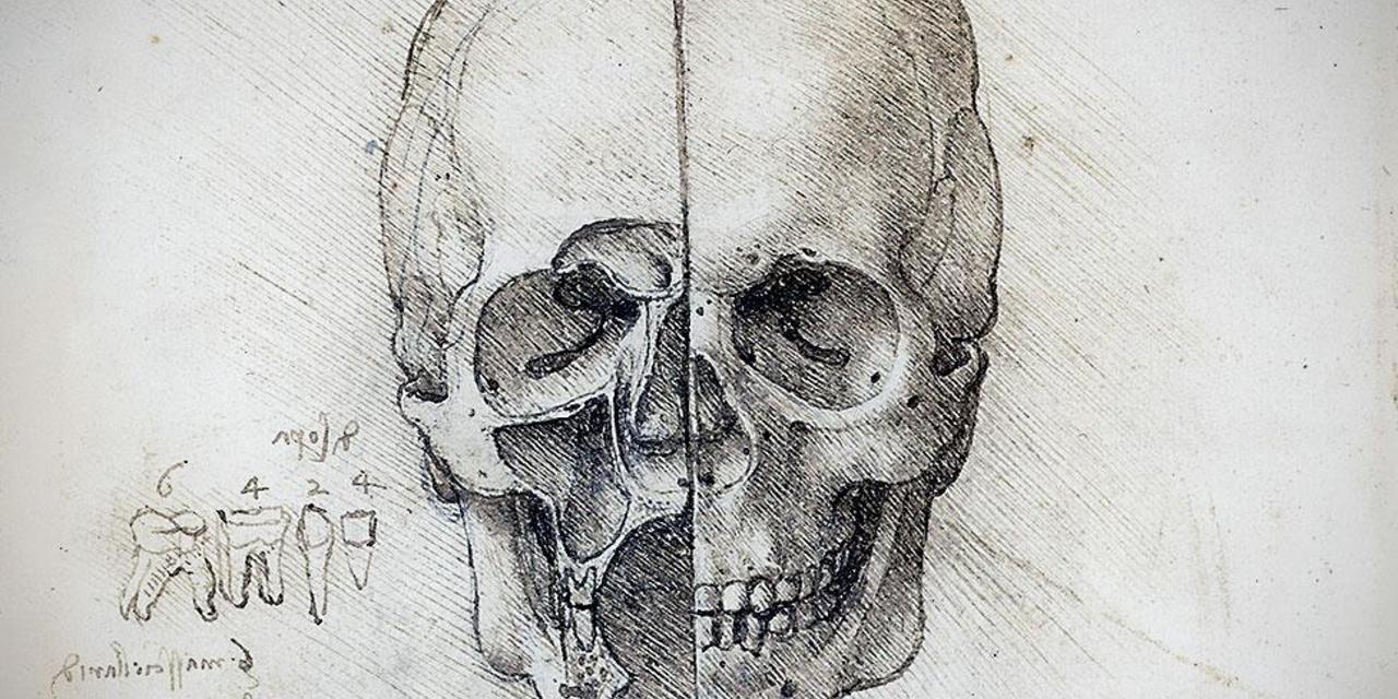 Leonardo da Vinci calavera