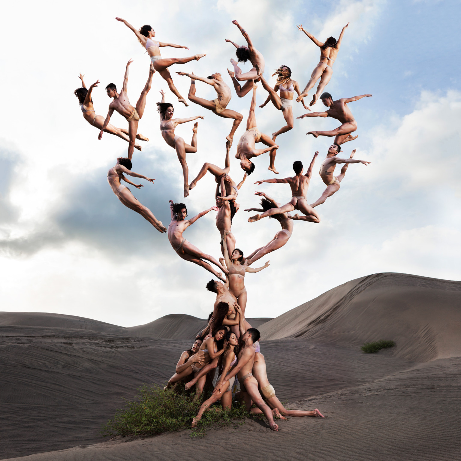 RobWoodcox 8 fotografia danza bailarines cuerpos anatomia erotica belleza instagram