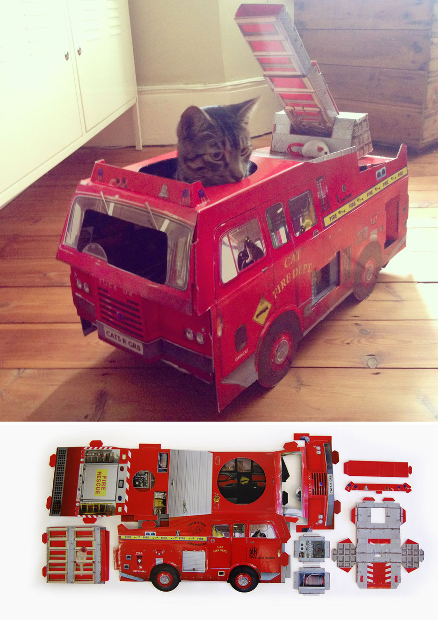 SuckUk 9 gato mascota merchandising juguete accesorios curiosidad