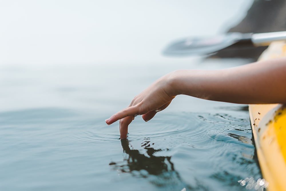 aaron lee 378203 unsplash