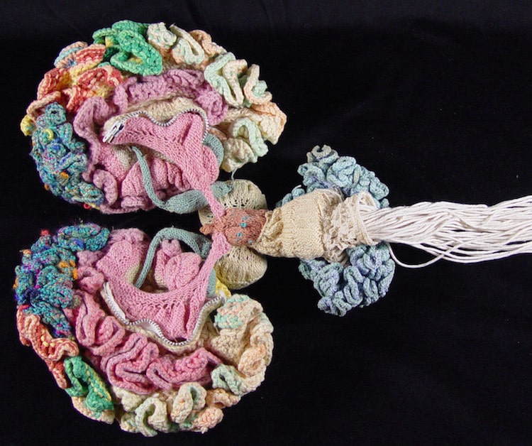 cerebro ganchillo 01