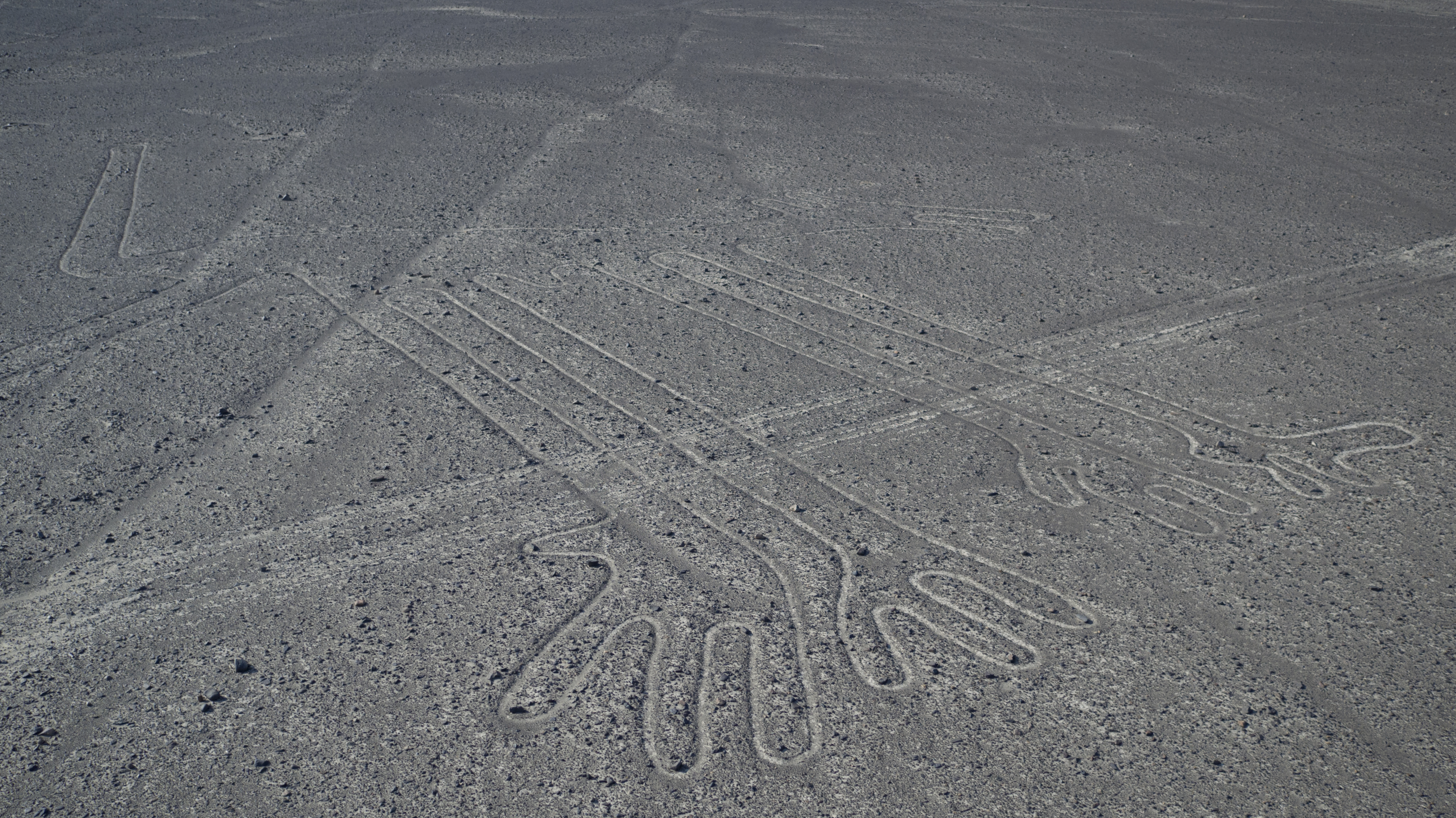Geoglifo de Nazca Perro o cameülido Alfonso Casabonne