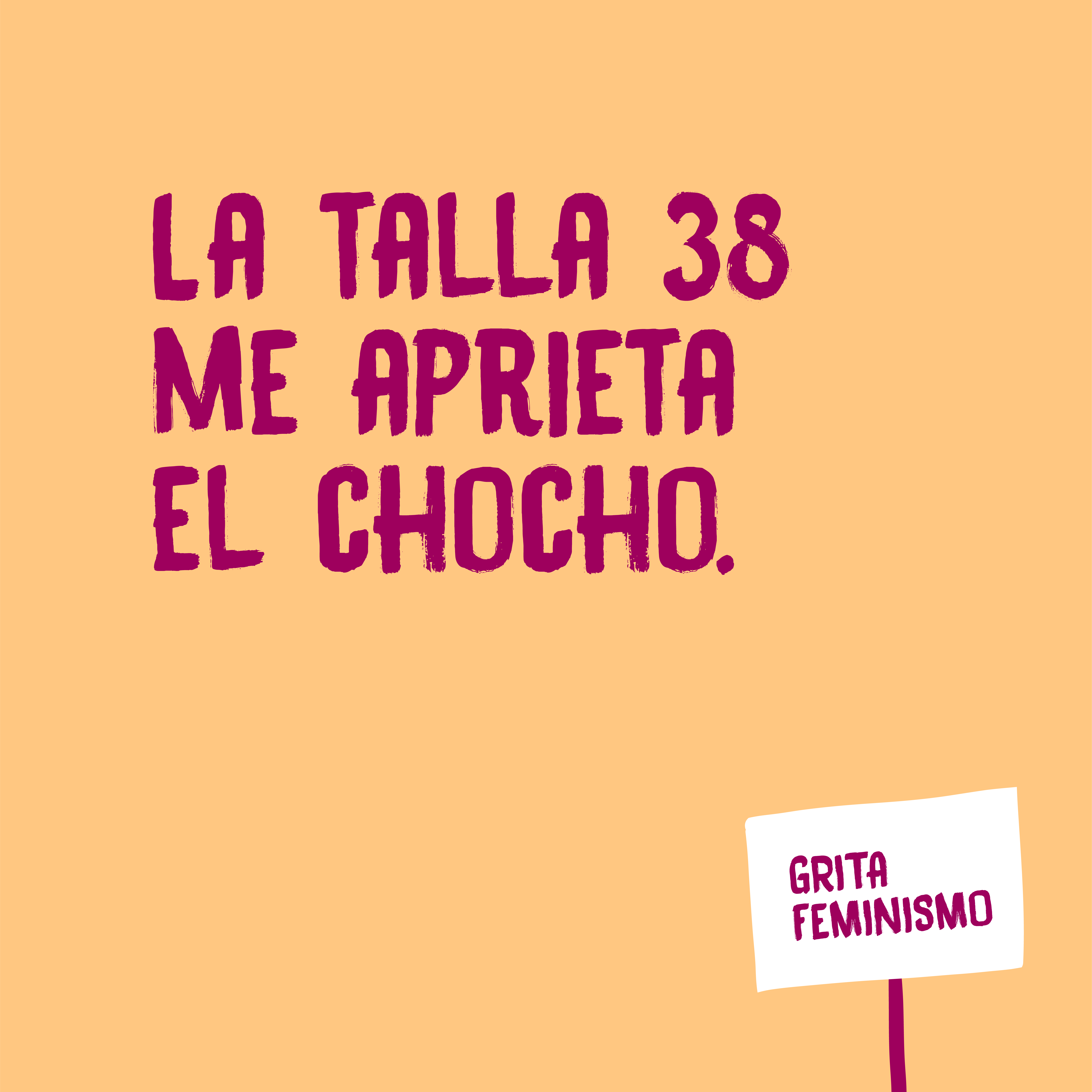GritaFeminismo3