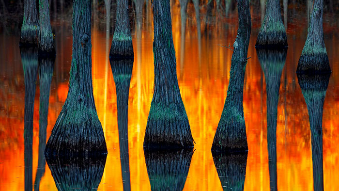 Ganador de la mejor fotografía de paisaje internacional 2018