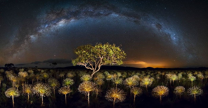 International landscape photographer of the year27