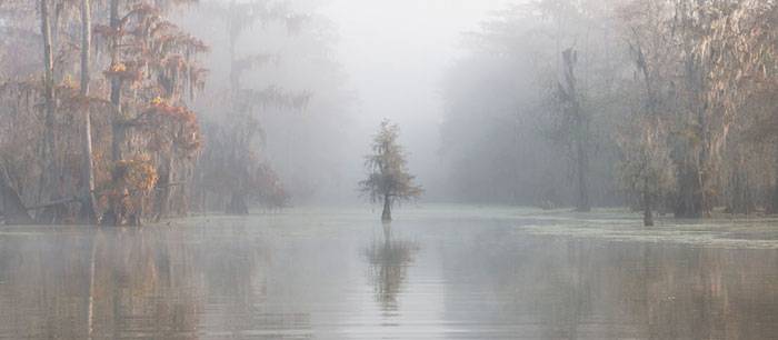Cuenca de Atchafalaya, Louisiana, Estados Unidos, por Roberto Marchegiani