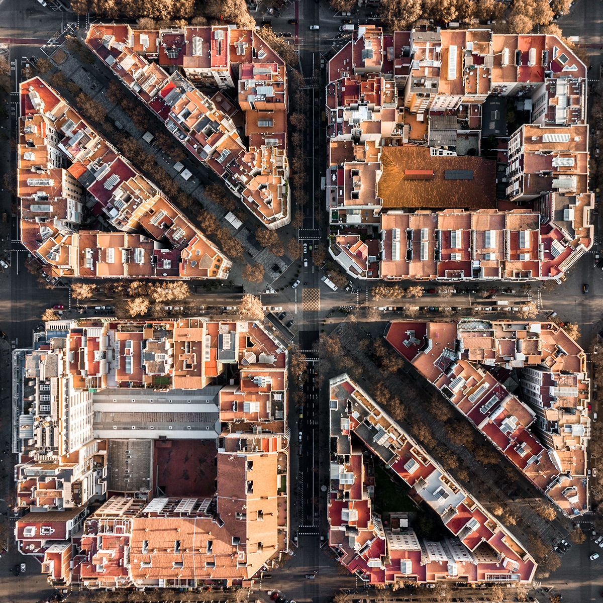Marton Mogyorosy barcelona7