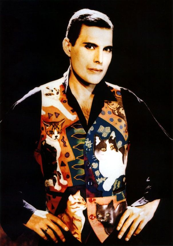 freddy mercury gatos15