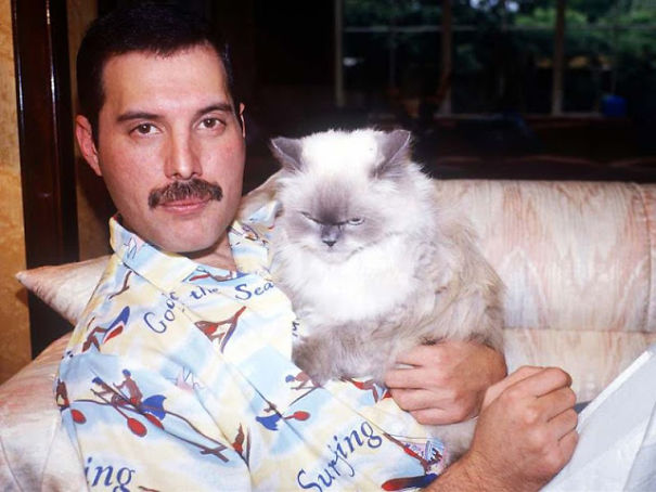 freddy mercury gatos4 copia