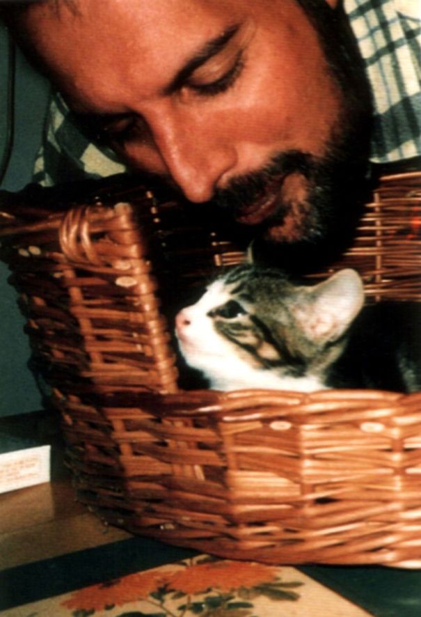freddy mercury gatos6 copia
