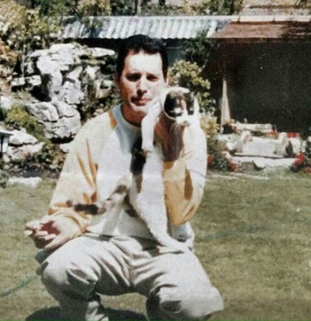 freddy mercury gatos7 copia