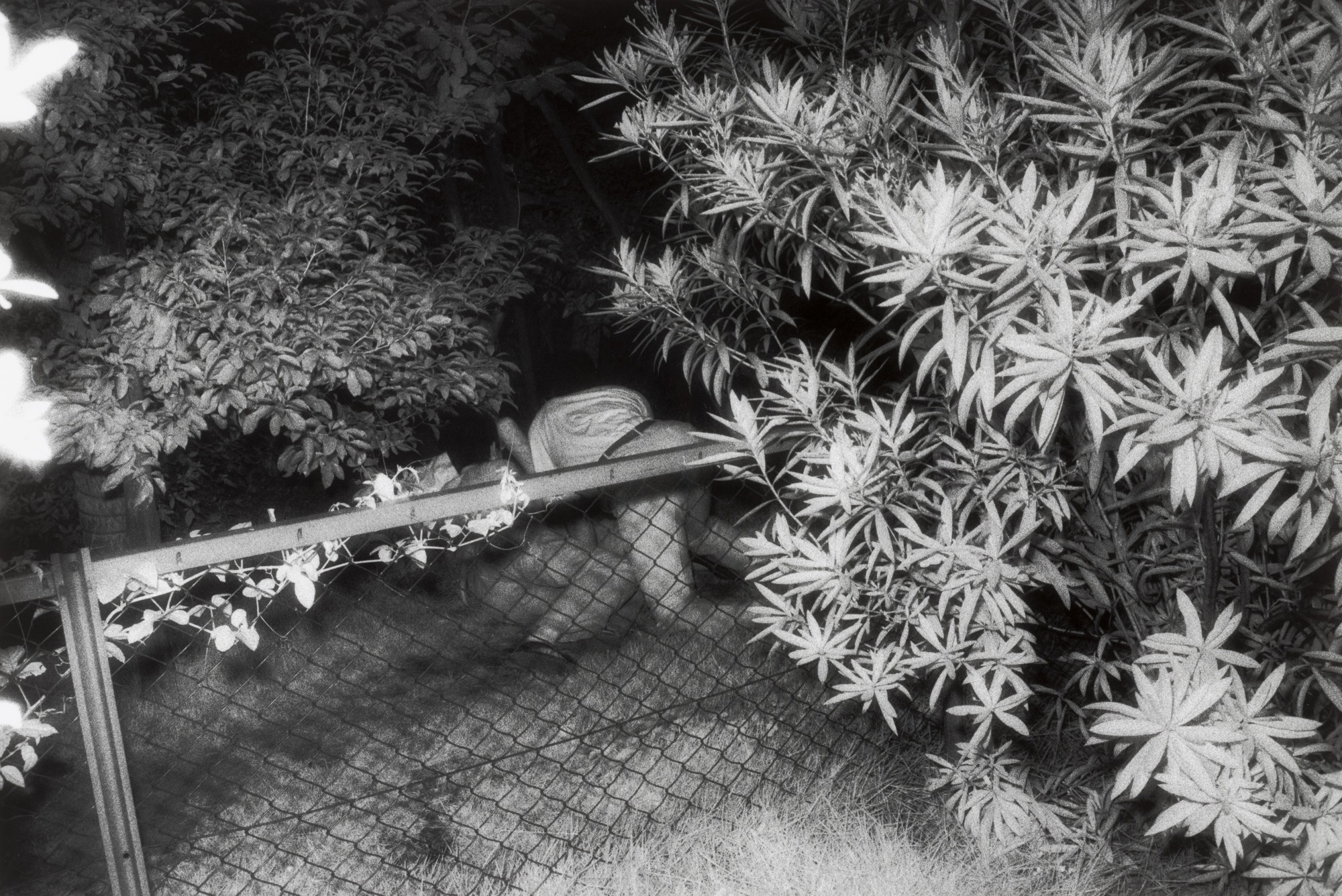 Kohei Yoshiyuki 9 erotica erotismo fotografia voyerismo fetichismo