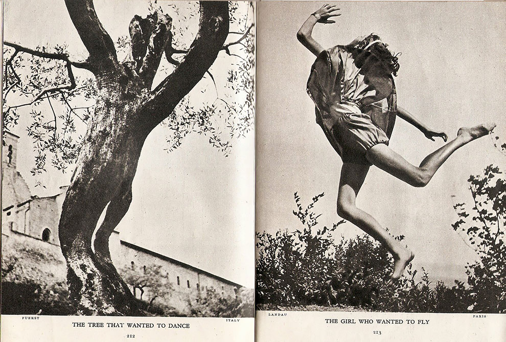 Lilliput25