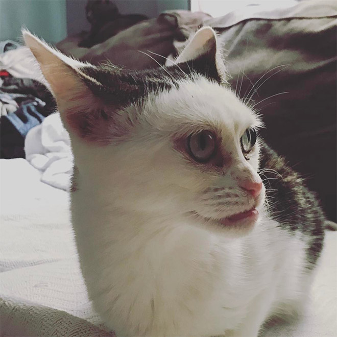 Marla14