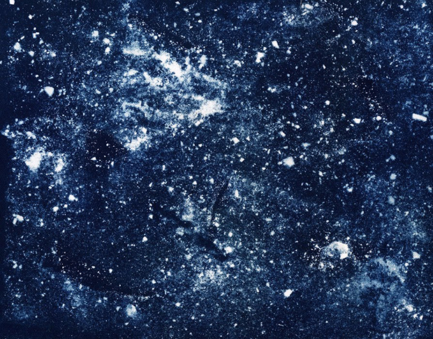 Mary Shannon Johnstone 3 perro fotografia muerte universo cosmos cenizas Stardust And Ashes