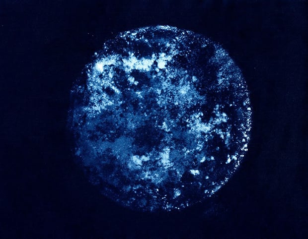 Mary Shannon Johnstone 5 perro fotografia muerte universo cosmos cenizas Stardust And Ashes