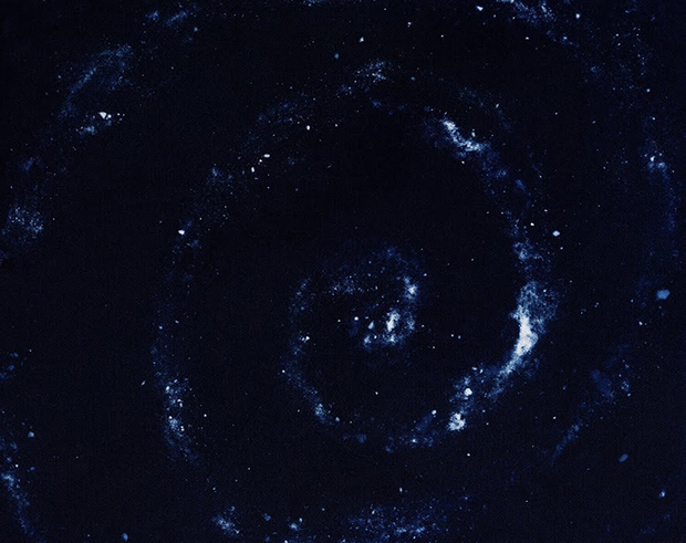 Mary Shannon Johnstone 6 perro fotografia muerte universo cosmos cenizas Stardust And Ashes