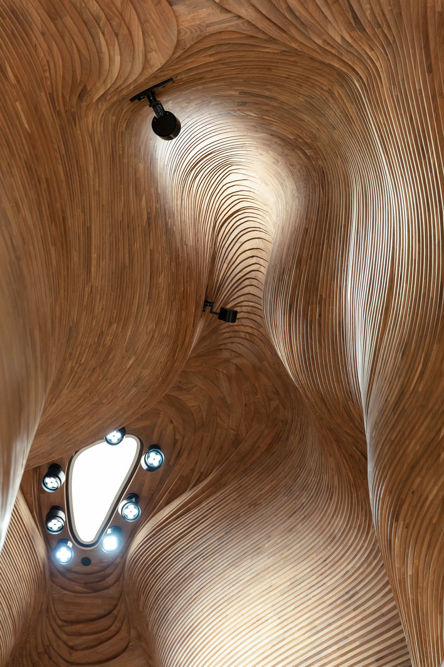 National Museum Qatar 4 Dahl Al Misfir arquitectura vanguardismo diseno naturaleza
