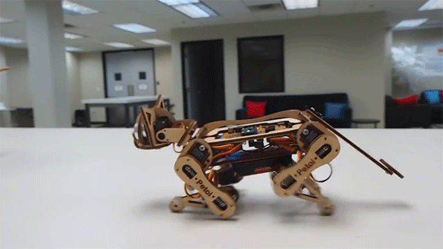 Nybble 2 gato robot androide diseno Petoi mascota