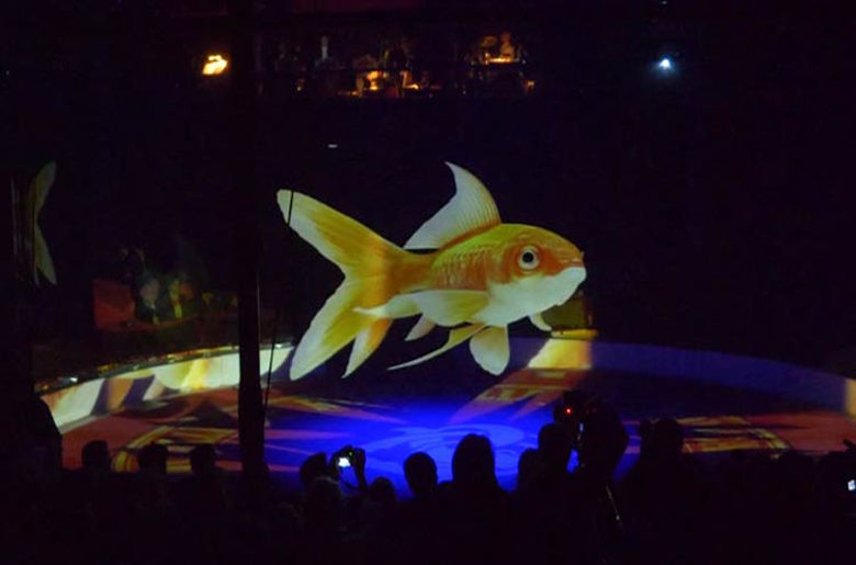 Roncalli Circus 4