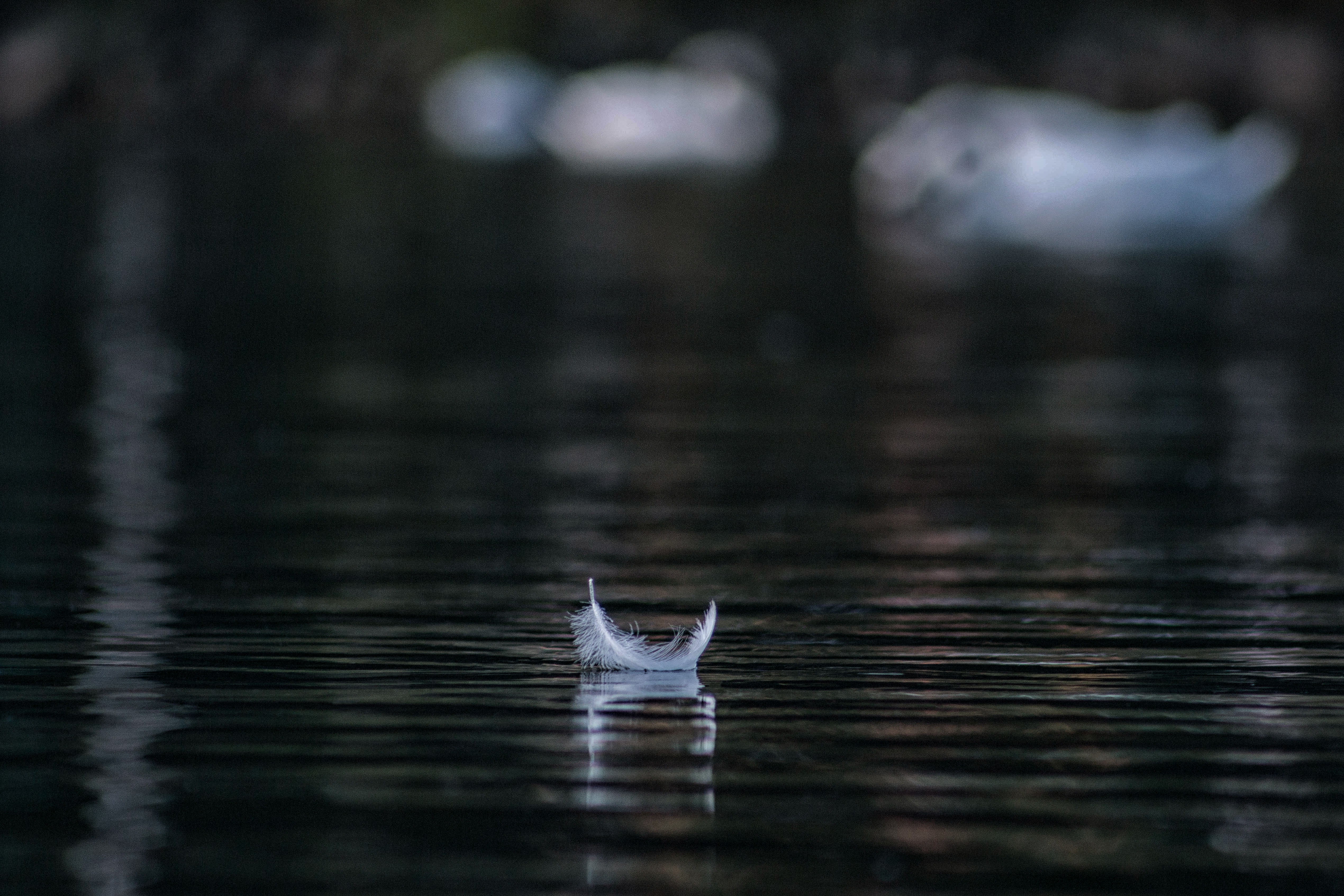 andraz lazic 686953 unsplash
