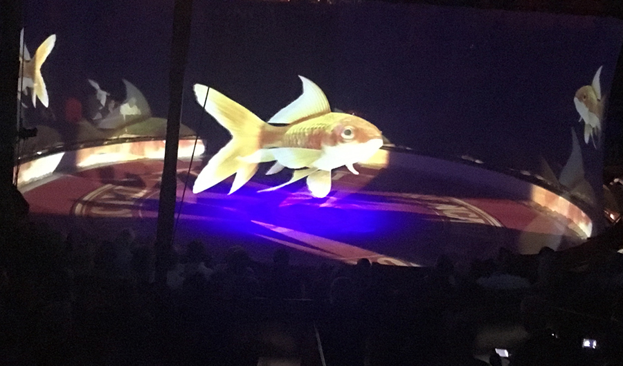 circo roncalli holograma pez 6