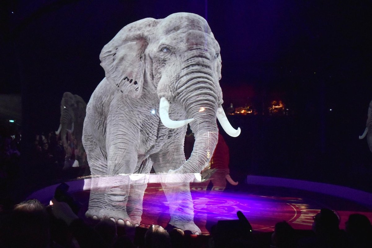 cirque roncalli
