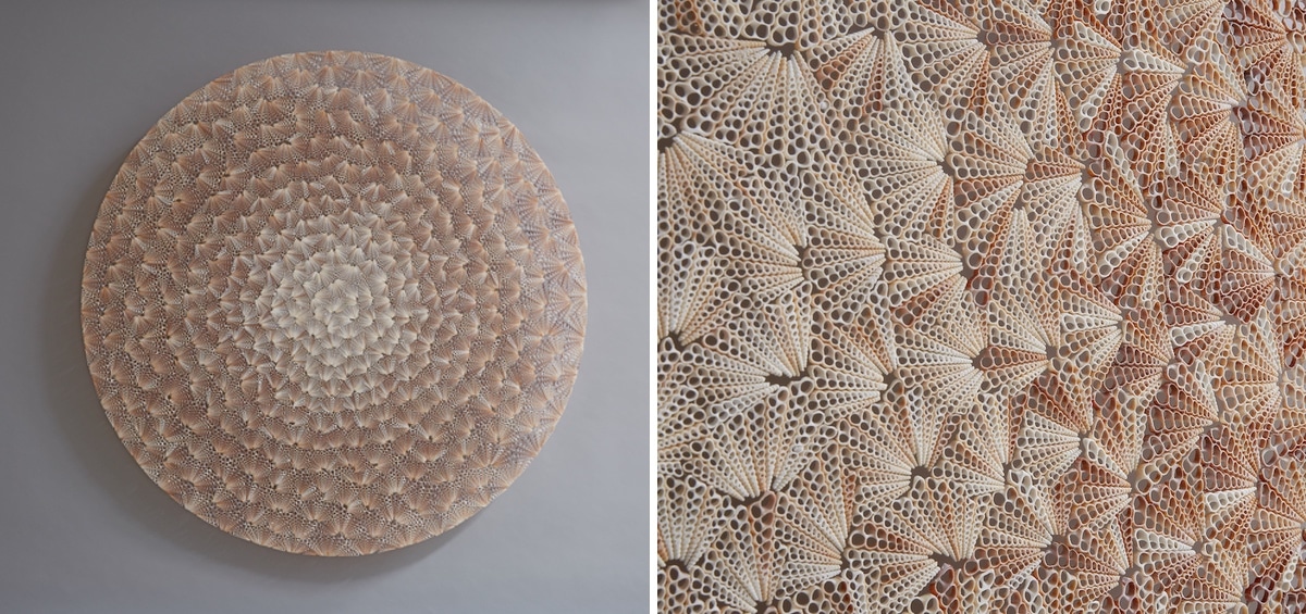 esculturas conchas 01