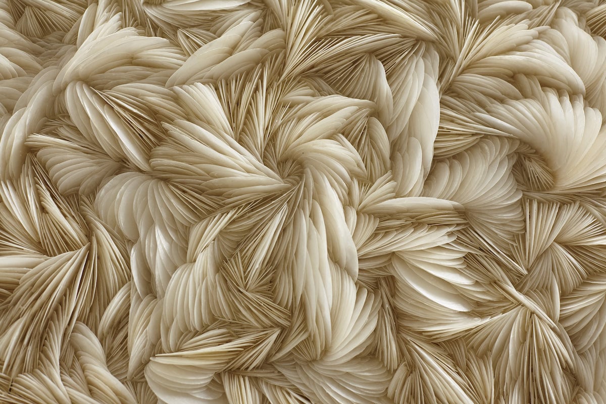 esculturas conchas 03