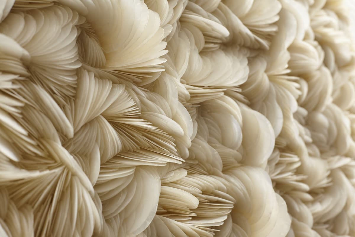 esculturas conchas 04
