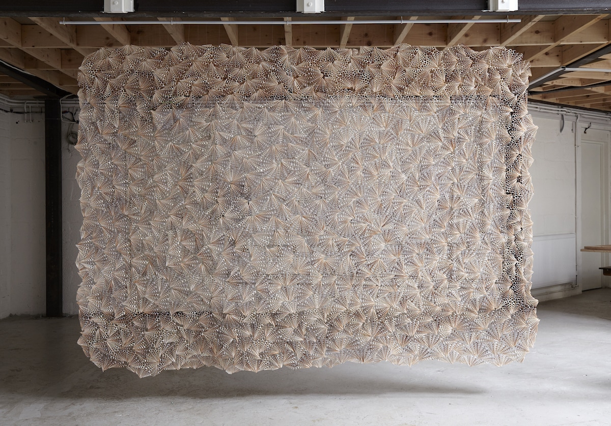 esculturas conchas 05