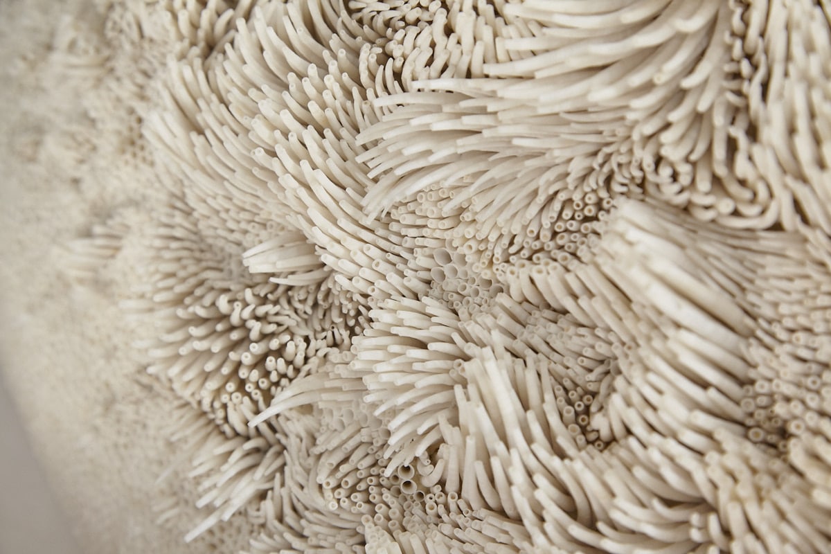 esculturas conchas 11