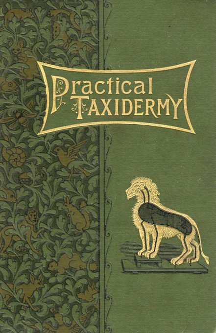 Montague Browne. Practical Taxidermy. London: “The Bazaar” Office, 1878
