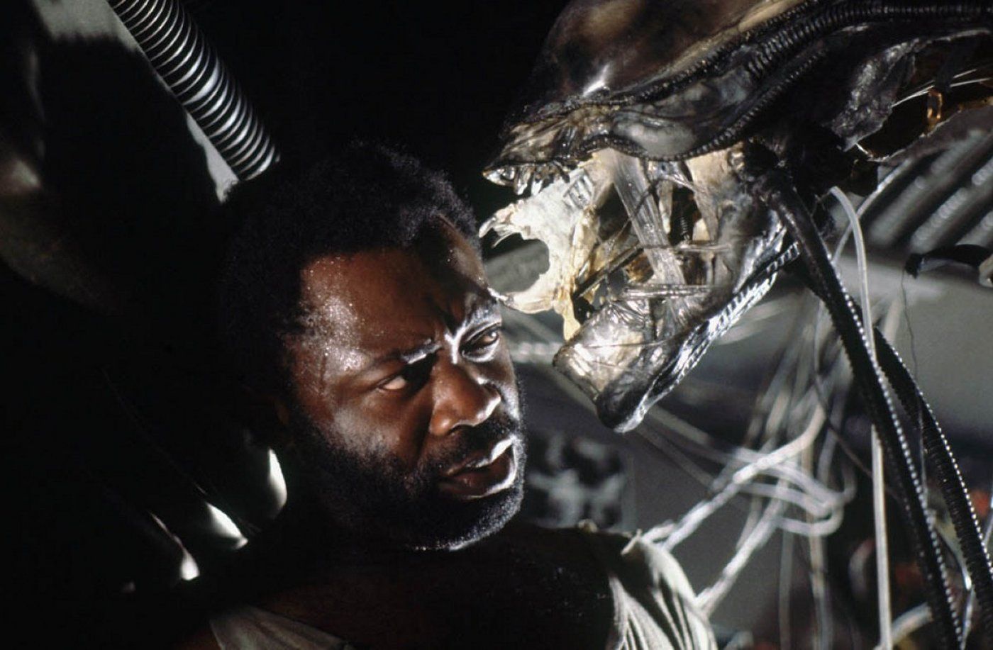 Alien 5 40 aniversario cultura pop cine frikismo Ridley Scott ciencia ficcion