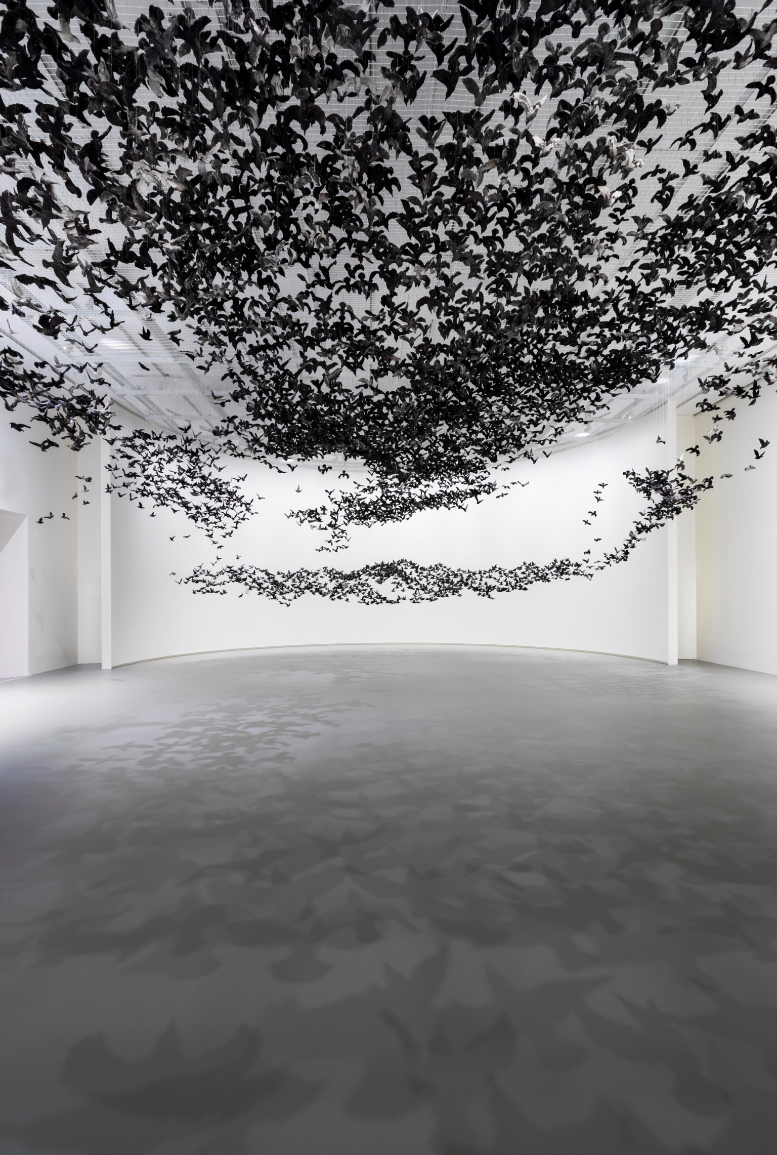 Cai Guo Qiang 1 instalacion pajaro escultura National Gallery of Victoria