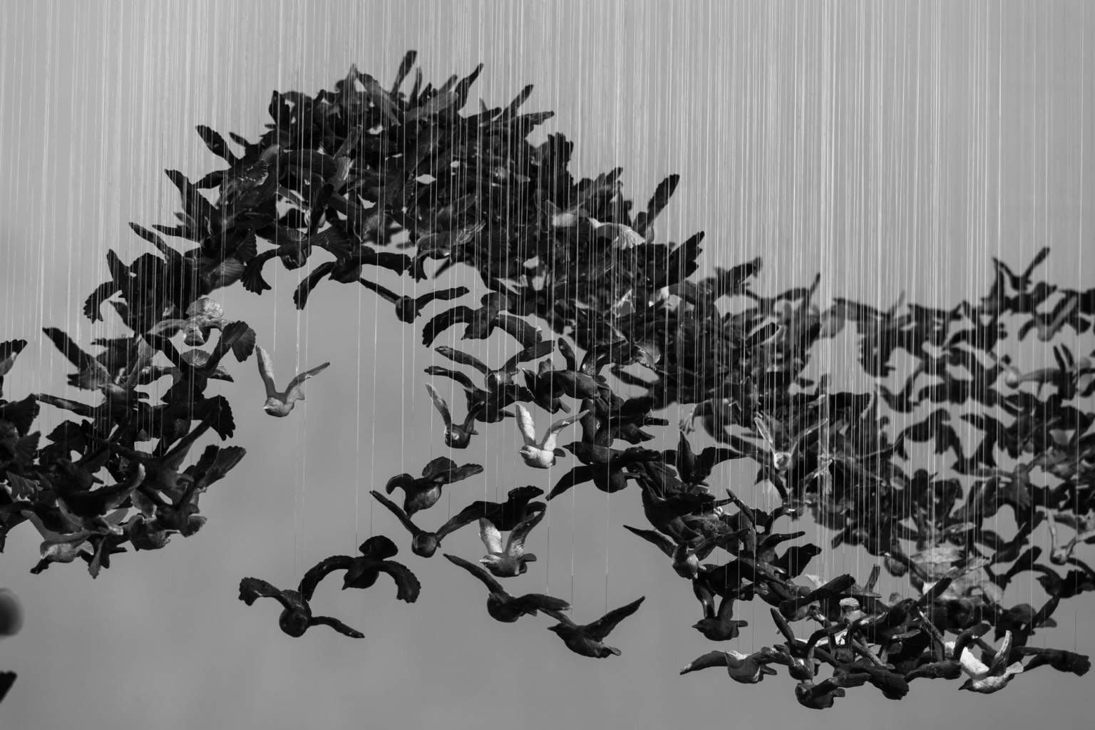 Cai Guo Qiang 2 instalacion pajaro escultura National Gallery of Victoria