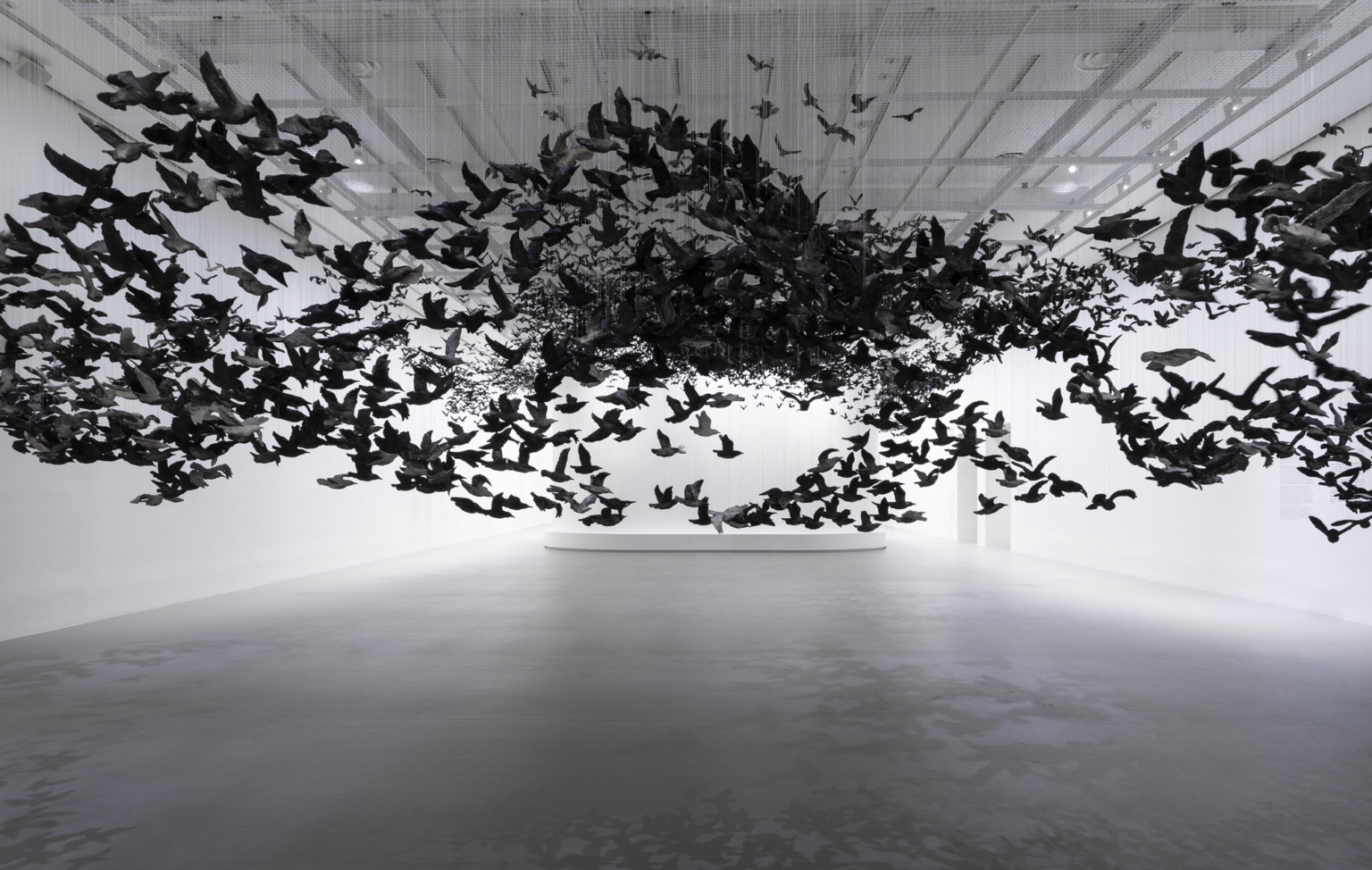 Cai Guo Qiang 3 instalacion pajaro escultura National Gallery of Victoria