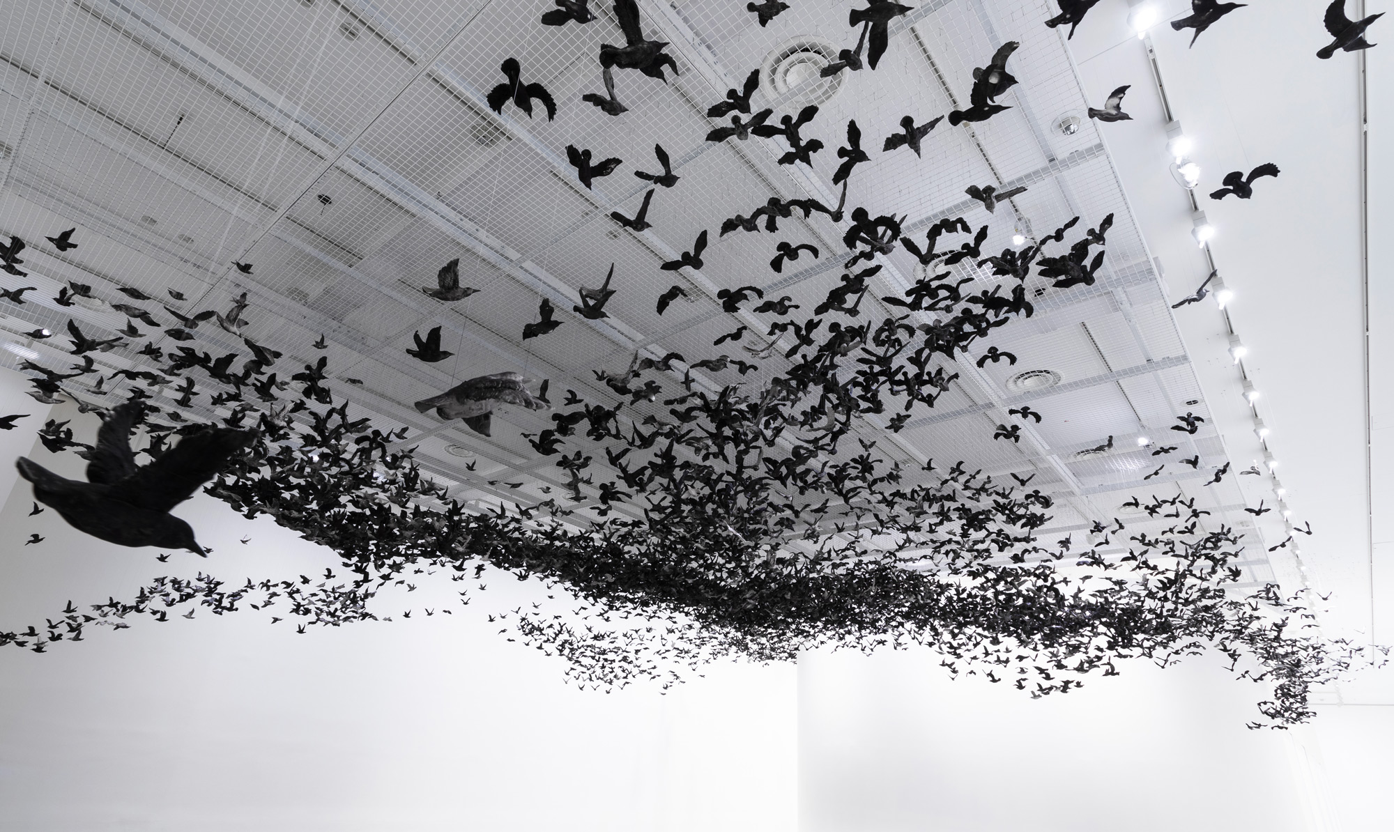 Cai Guo Qiang 4 instalacion pajaro escultura National Gallery of Victoria