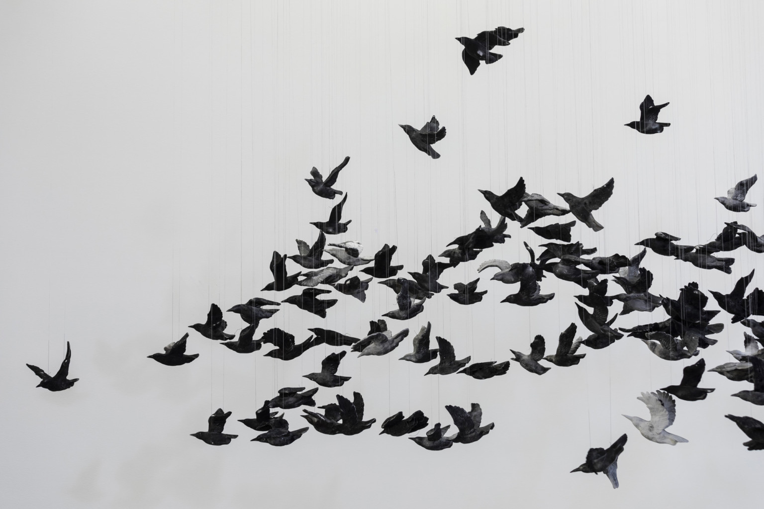 Cai Guo Qiang 7 instalacion pajaro escultura National Gallery of Victoria