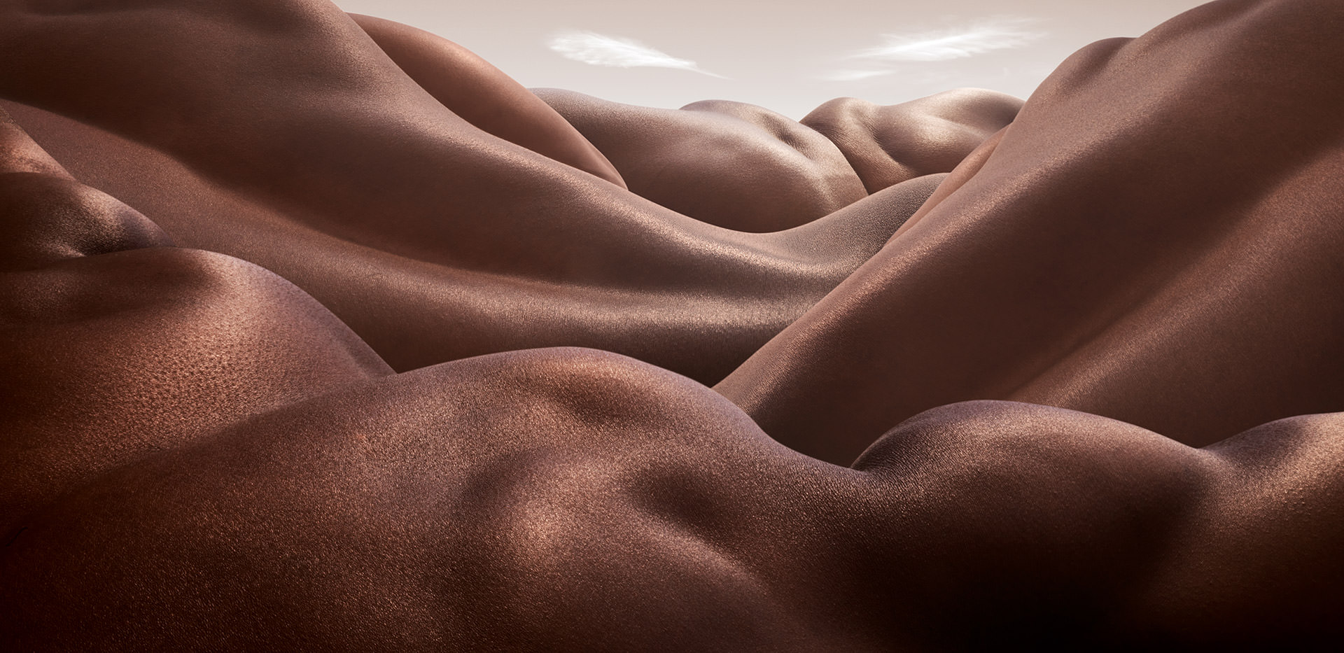 Carl Warner2