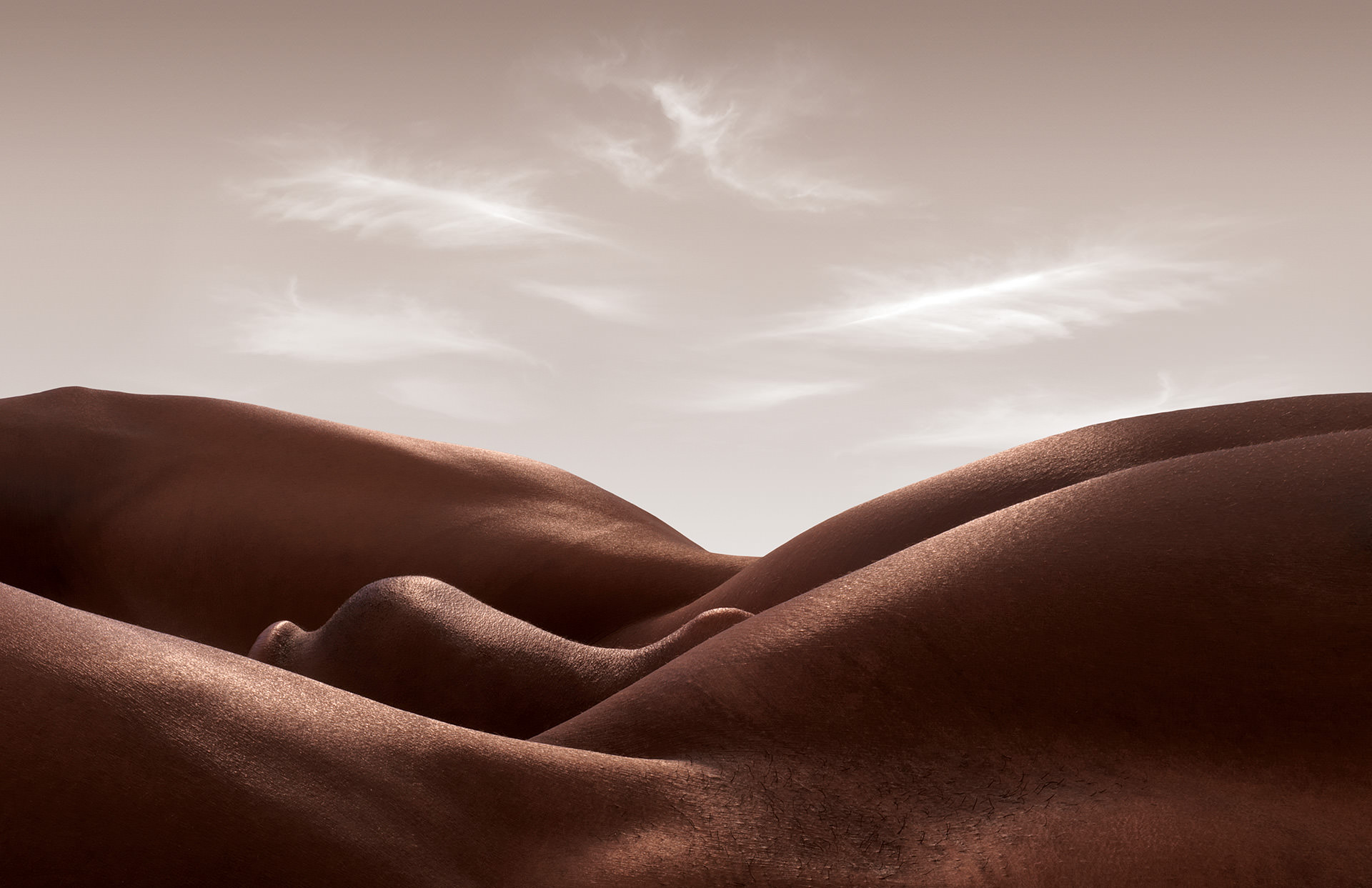 Carl Warner3