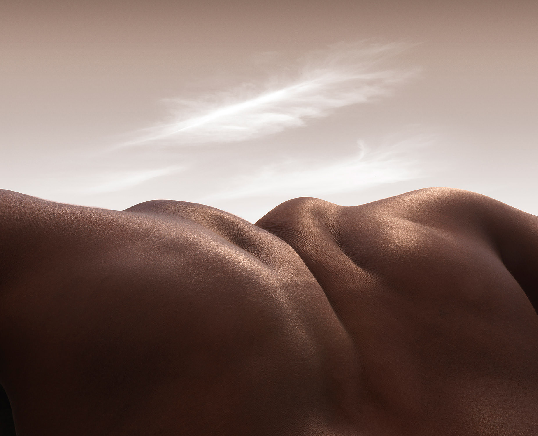 Carl Warner6