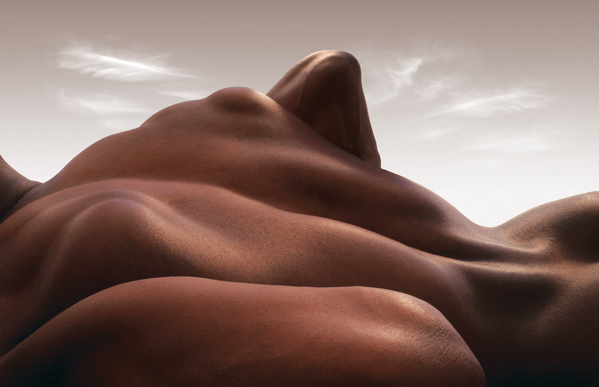 Carl Warner7