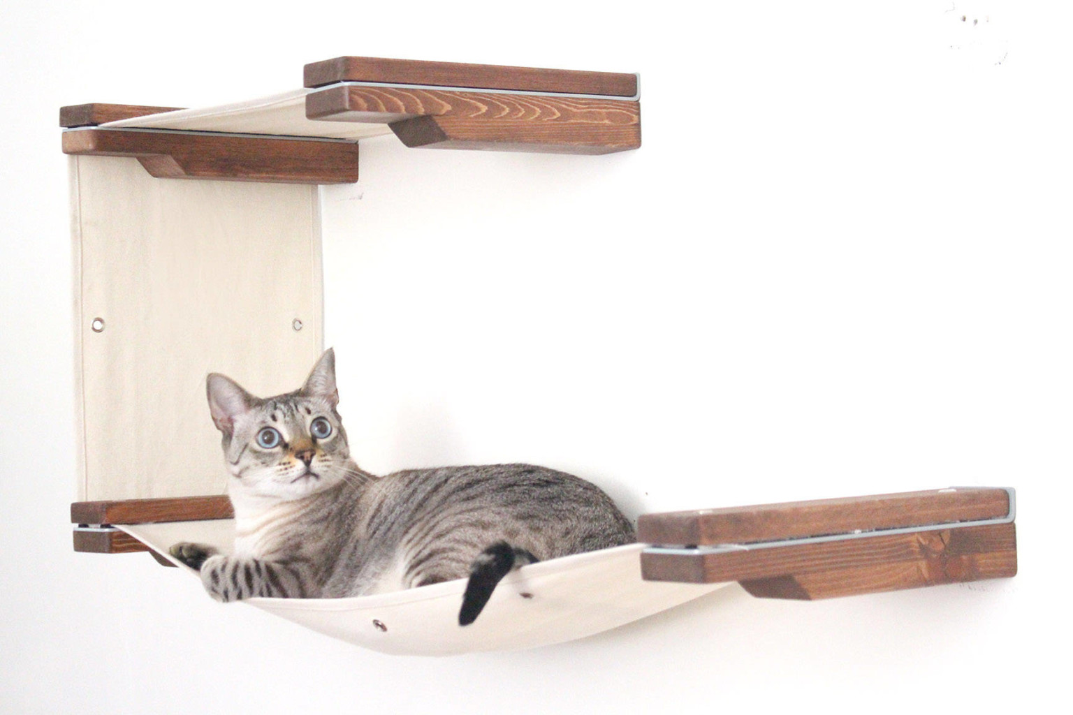 Catastrophicreactions 2 diseno diseno de interiores gato mascota muebles minimalismo