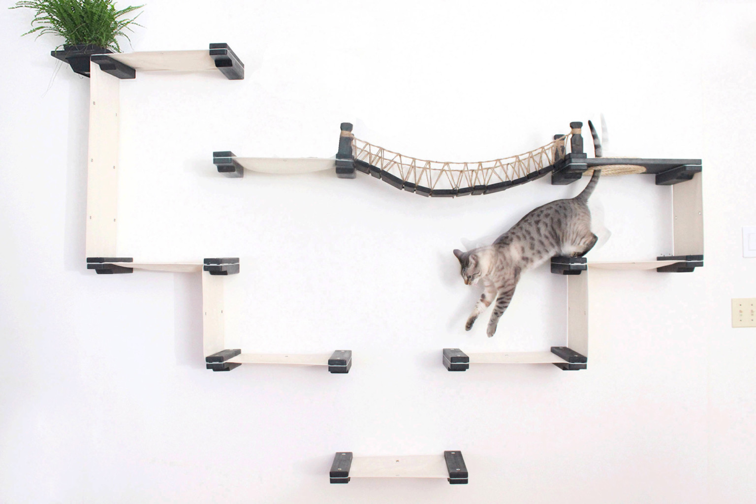 Catastrophicreactions 3 diseno diseno de interiores gato mascota muebles minimalismo