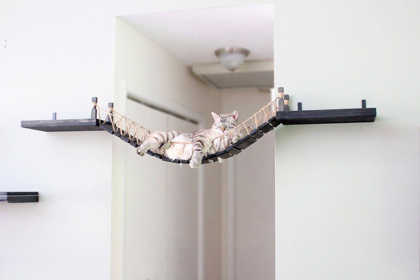 Catastrophicreactions 6 diseno diseno de interiores gato mascota muebles minimalismo