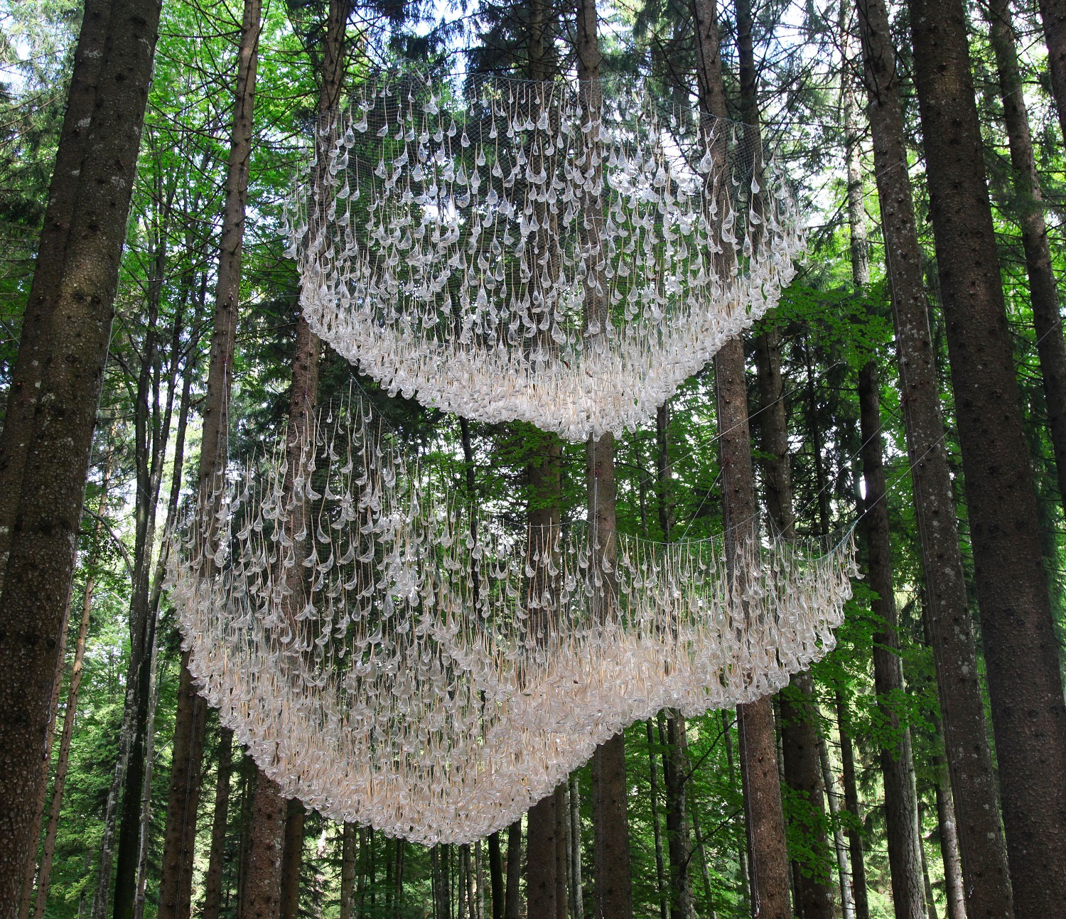 John Grade 1 Reservoir instalacion agua lluvia naturaleza bosque