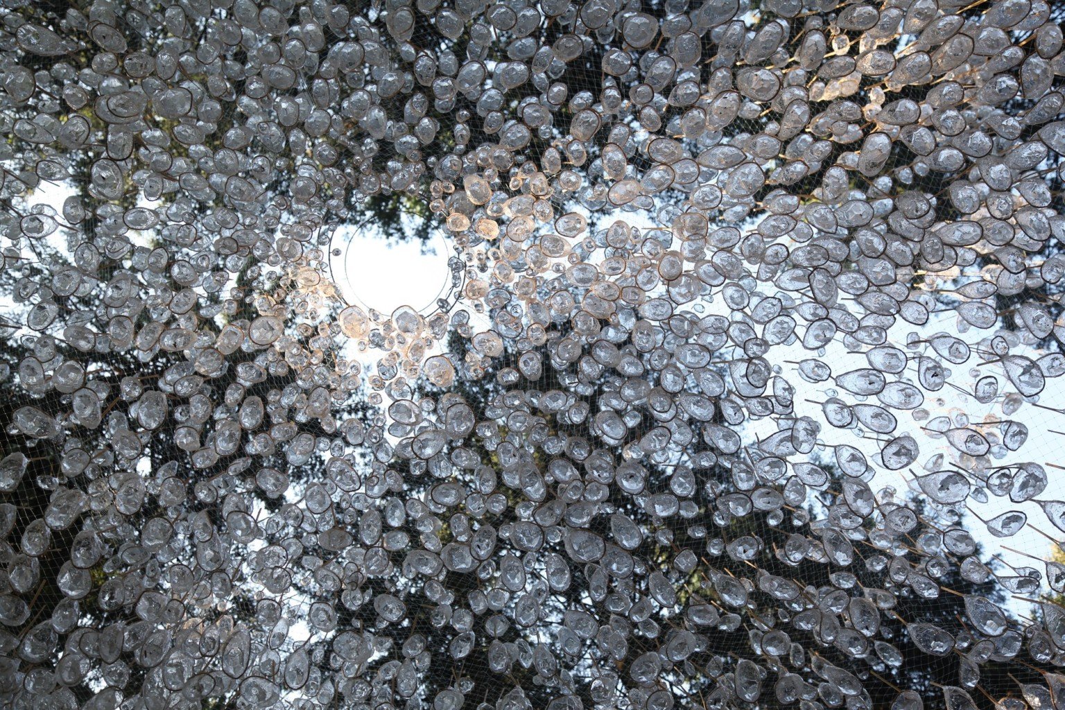 John Grade 3 Reservoir instalacion agua lluvia naturaleza bosque
