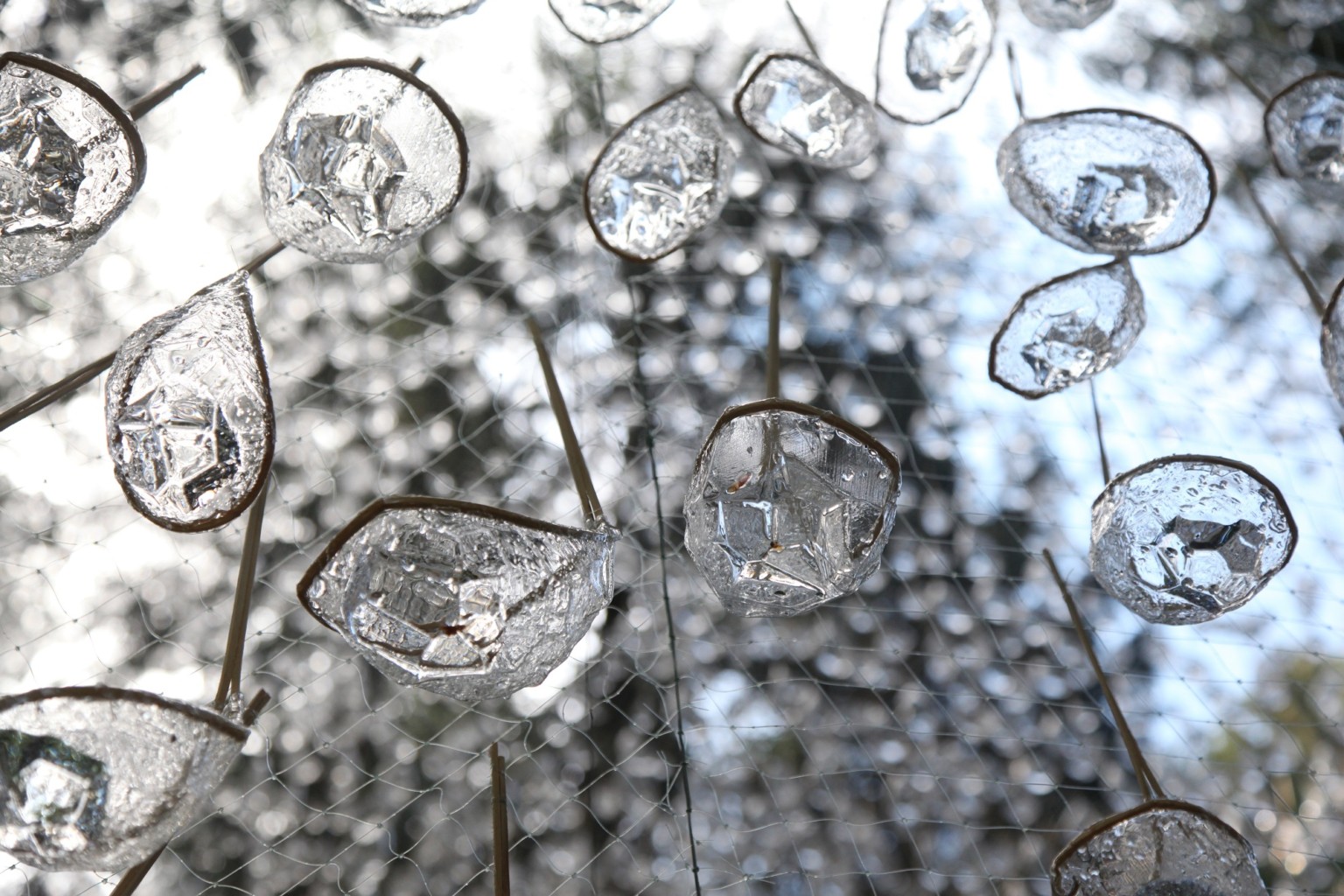 John Grade 4 Reservoir instalacion agua lluvia naturaleza bosque