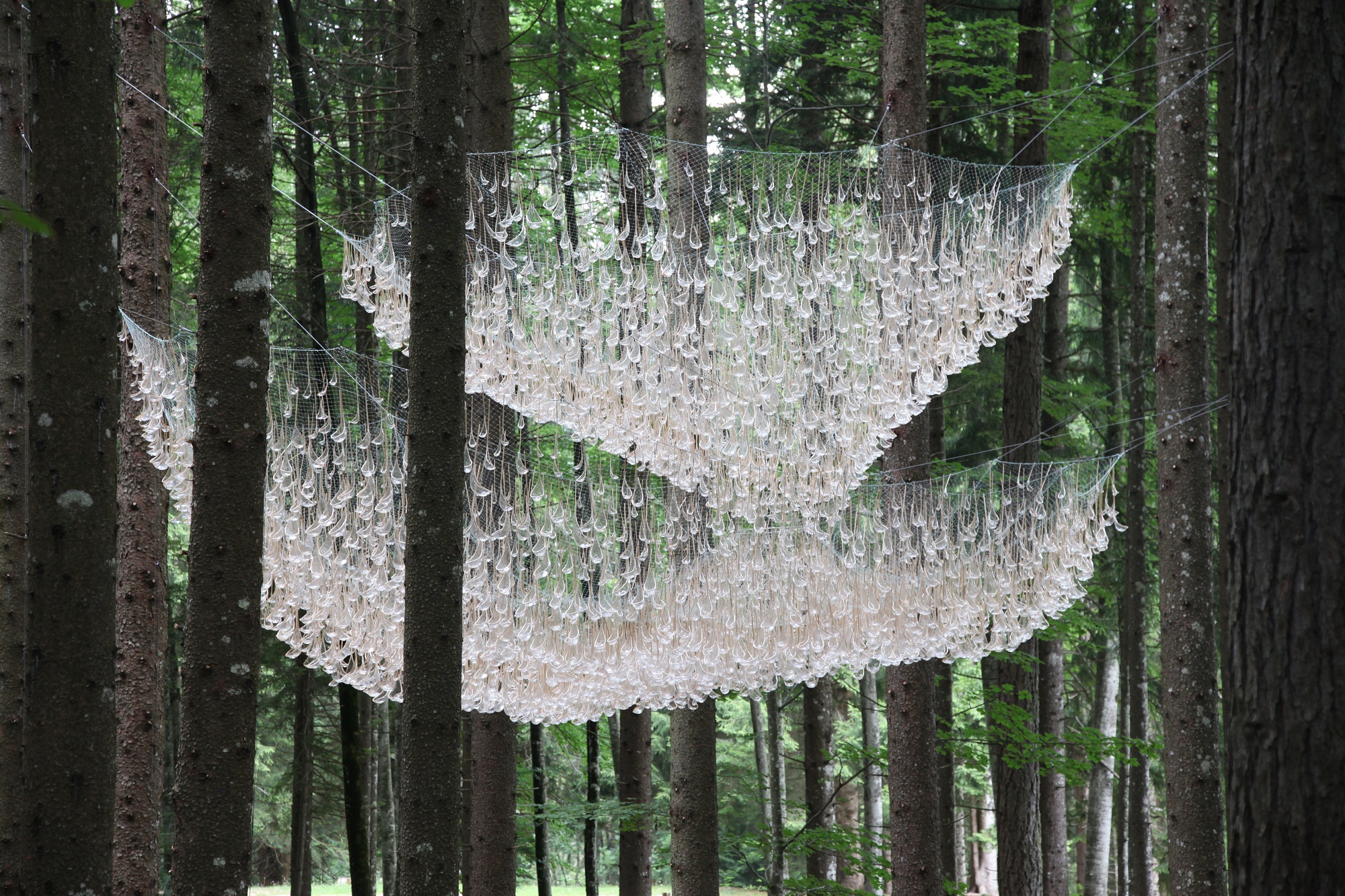 John Grade 5 Reservoir instalacion agua lluvia naturaleza bosque